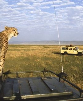 Game Drive