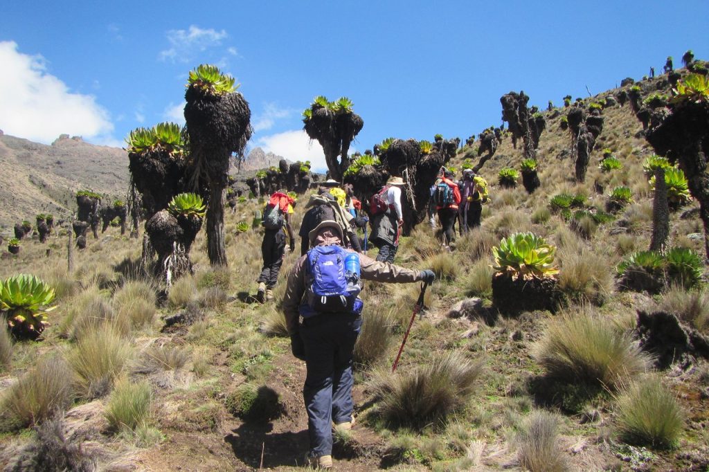 mount-kenya3