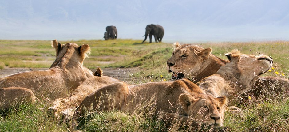ngorongoro-crater
